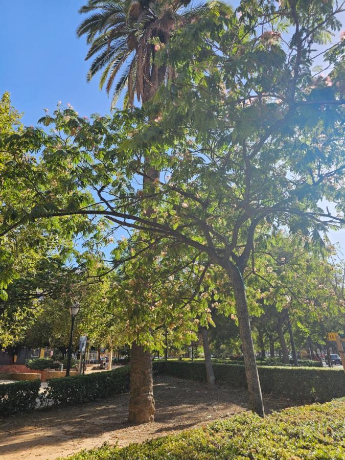 Apartamento Lounge Garden Sea Relax Valencia Exterior foto