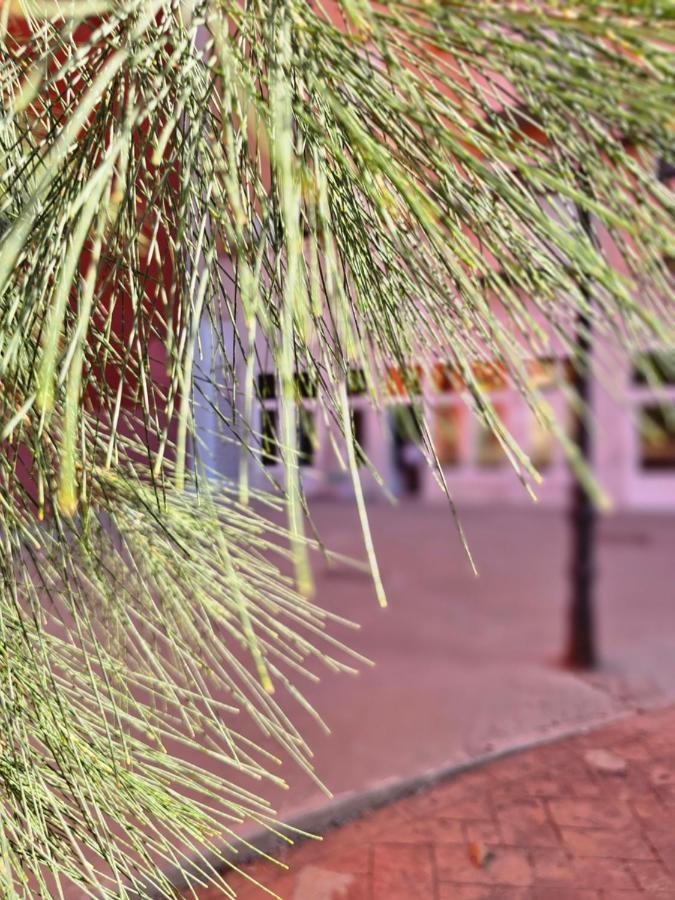 Apartamento Lounge Garden Sea Relax Valencia Exterior foto